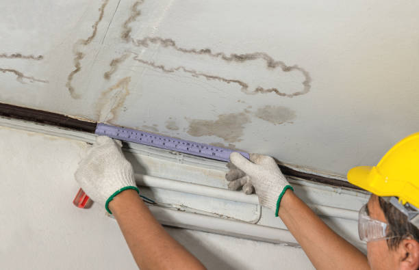 Reliable Structural Drying contractor in Staten Island, NY by Hirex Water Damage